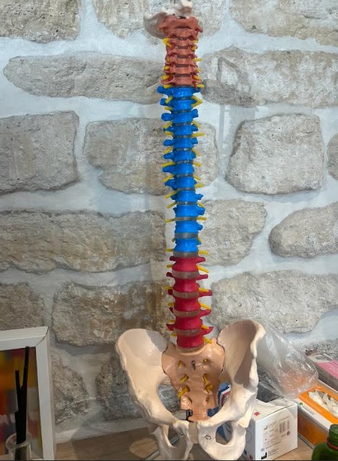 Pénélope Flais osteo